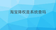 淘宝降权是系统查吗 淘宝怎查降权