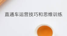 直通车运营技巧和思维训练 直通车运营技巧和思维
