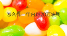 怎么样一年内赚20万块钱 如何在一年内赚20万块钱