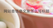 网站查信息文案怎么写标题 写材料标题文案网站怎么写