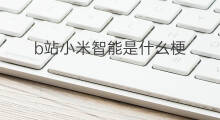 b站小米智能是什么梗 b站战术是什么梗