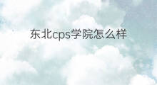 东北cps学院怎么样 什么是cps学院