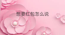 想要红包怎么说 红包怎么说