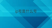 ip号是什么号 电信Ip号是什么
