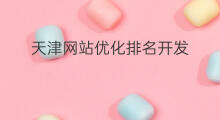 天津网站优化排名开发 天津网站优化排名建设