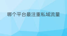 哪个平台最注重私域流量 私域流量池建立哪个平台