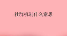 社群机制什么意思 如何开发社群裂变机制