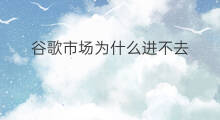 谷歌市场为什么进不去 为什么谷歌进不去