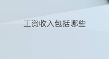 工资收入包括哪些 工资性收入包括哪些