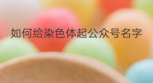 如何给染色体起公众号名字 如何起公众号名字
