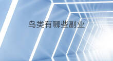 鸟类有哪些副业 特长有哪些副业