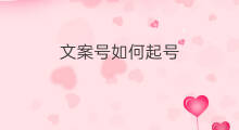 文案号如何起号 情感文案号如何起号
