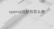 openai注册后怎么使用 openai注册成功后怎么登录