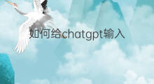 如何给chatgpt输入买彩票指令 如何给chatgpt下达正确指令