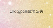chatgpt基金怎么买(chatgpt基金)
