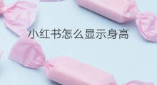 小红书怎么显示身高 小红书不被收录会怎样显示