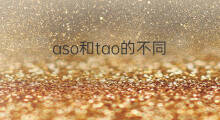 aso和tao的不同 滴滴和快手的不同