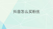 抖音怎么买粉丝 抖音买粉丝怎么买