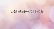 头条里厨子是什么梗 微头条是什么梗