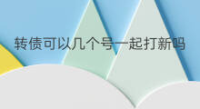 转债可以几个号一起打新吗 转网可以带副号一起转吗