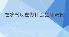 在农村现在做什么生意赚钱 现在做什么生意赚钱