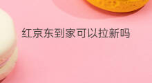 红京东到家可以拉新吗 京东到家是京东的吗