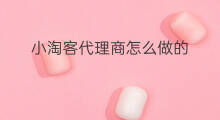 小淘客代理商怎么做的 淘客怎么做代理