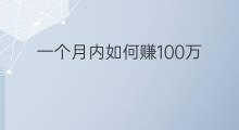 一个月内如何赚100万 一个月内赚100万怎么算