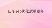 山东seo优化质量服务 提供seo优化质量服务