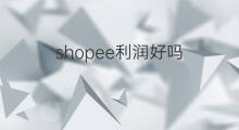 shopee利润好吗 shopee没啥利润