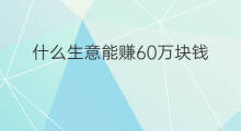 什么生意能赚60万块钱 做什么生意能赚10万块钱