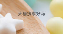 天猫搜索好吗 天猫汽车好吗