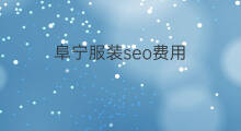 阜宁服装seo费用 阜宁seo优化推广