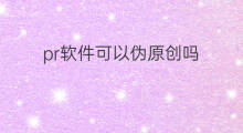 pr软件可以伪原创吗 PR如何伪原创