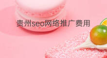 贵州seo网络推广费用 seo网络推广费用