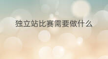独立站比赛需要做什么 独立站运营需要做哪些