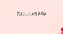 昆山seo选哪家 昆山跨境电商选哪家物流