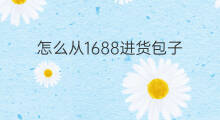 怎么从1688进货包子 怎样从1688上进货苹果