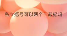 私立摇号可以两个一起摇吗 摇号可以一起摇几个盘子