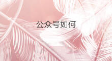 公众号如何 公众号如何改名