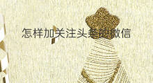 怎样加关注头条的微信 头条怎样加朋友微信