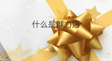 什么是群力店 哈尔滨群力店在哪