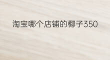 淘宝哪个店铺的椰子350 椰子皮1688哪个店好