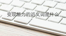 变现能力的近义词是什么 盲盒近义词是什么
