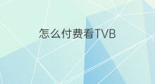 怎么付费看TVB tvb跨境电商赚钱吗
