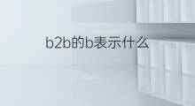 b2b的b表示什么 b2b的b指什么