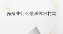 养殖业什么最赚钱农村鸡 养殖业什么最赚钱农村