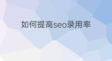 如何提高seo录用率 怎样提高seo