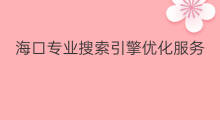 海口专业搜索引擎优化服务 贵阳专业搜索引擎优化服务