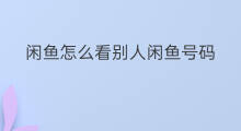 闲鱼怎么看别人闲鱼号码 闲鱼怎么搜查闲鱼号码